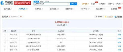光耀集团破产风波 计算机软件开发业务的重挫与反思